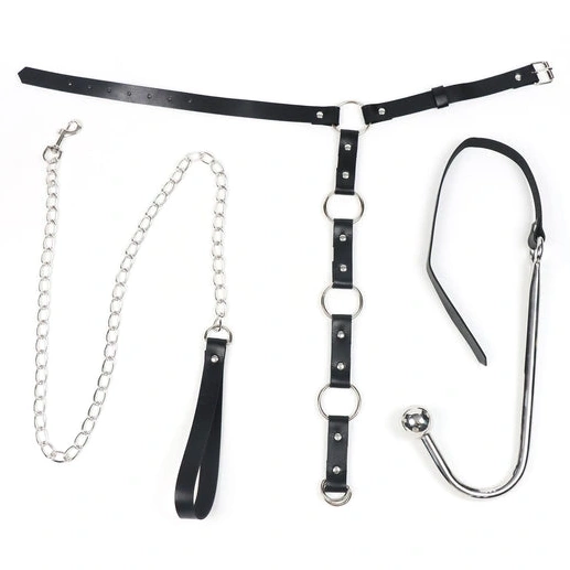 Anal Hooks Kinky Hook EverydayUse 5853 Collar Leash Anal and with 0829